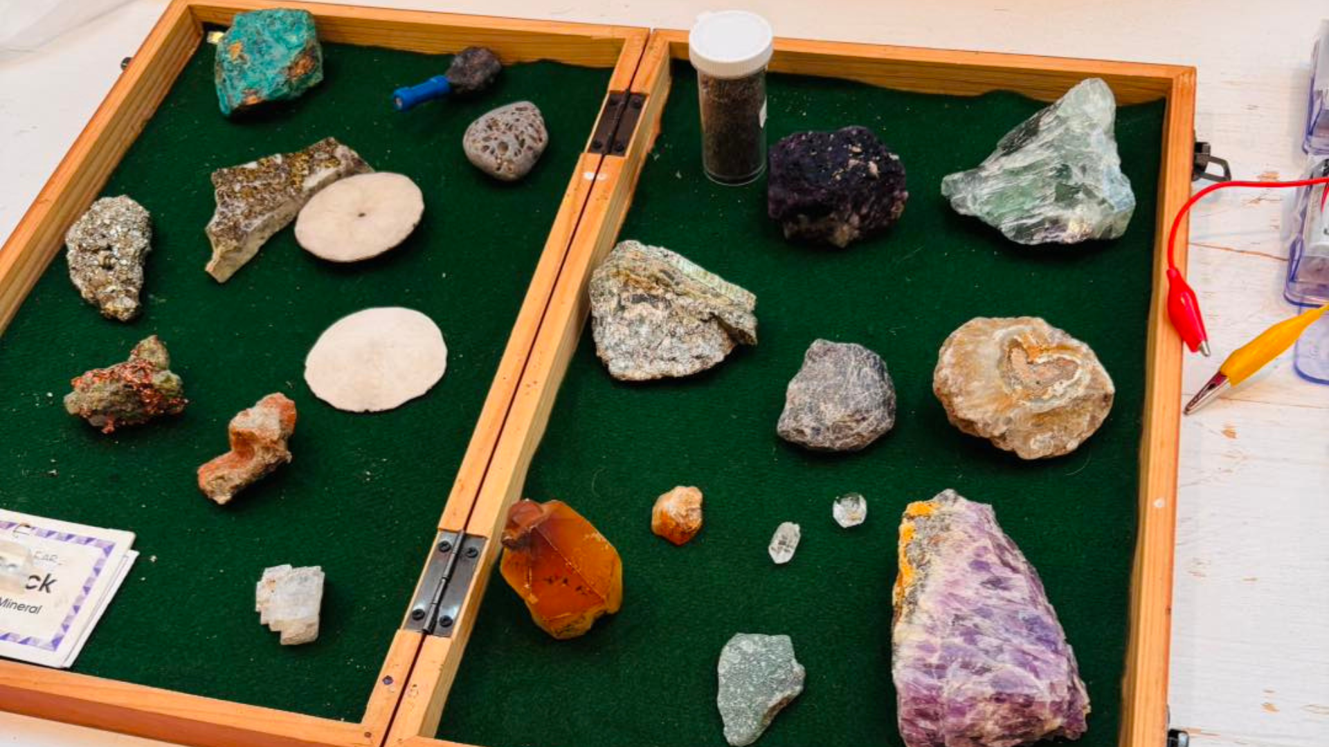 Family Literacy Day 1 2026